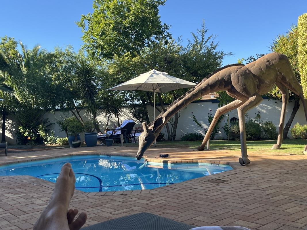 C’est plus un éléphant qui boit dans notre piscine, mais une girafe! Pfffff