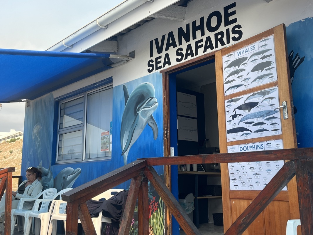 Départ pour la rencontre avec les baleines