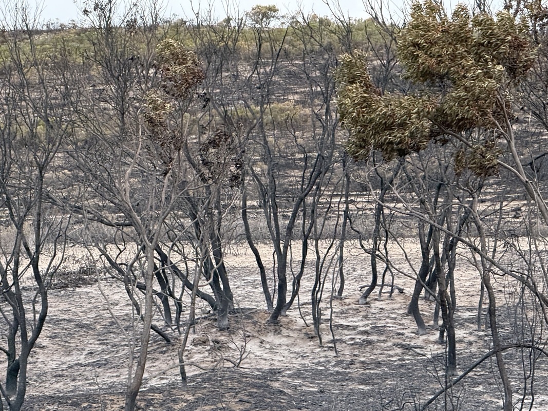 Désolation à 1 ou 2 kms de notre guest house