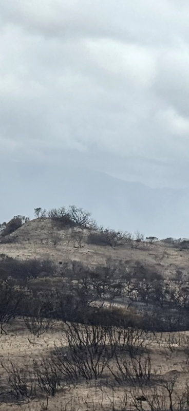 Désolation à 1 ou 2 kms de notre guest house