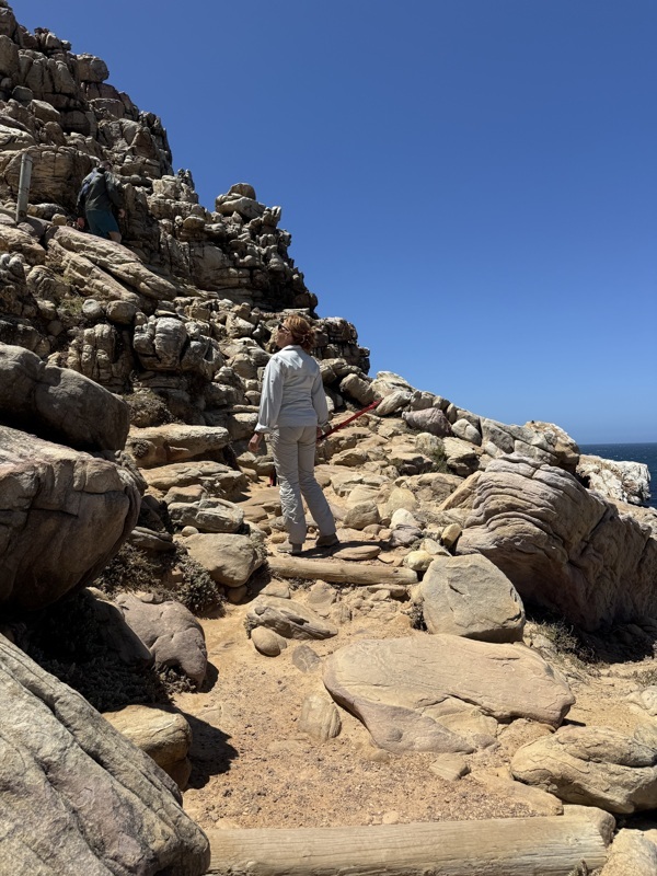 c'est parti pour aller jusqu'au bout