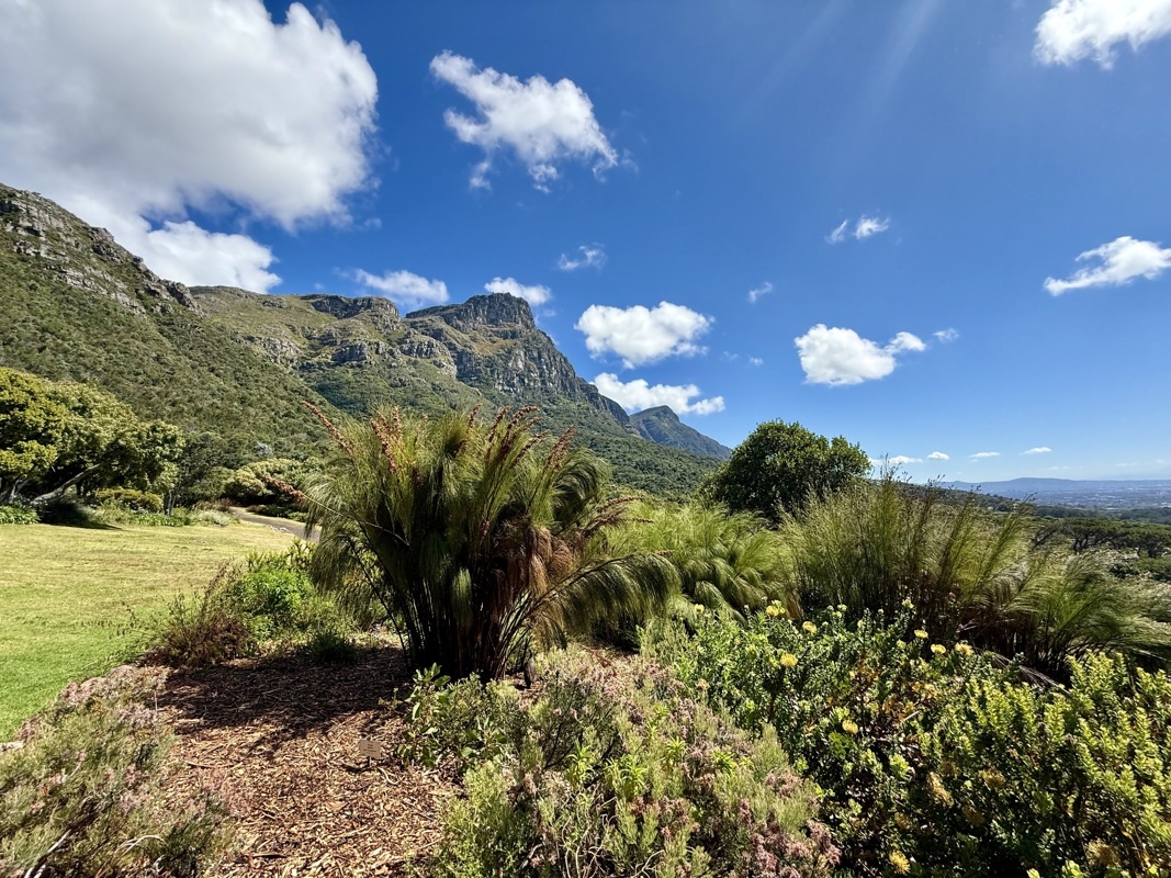 Jardin botanique de Kirstenbosch