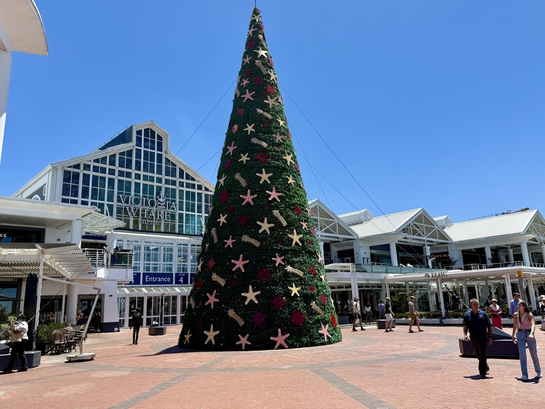 C’est bientôt noël!