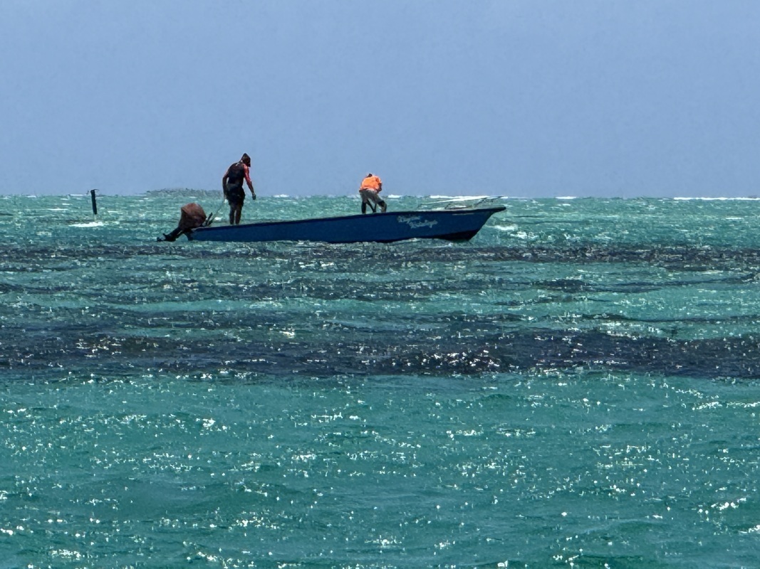 pecheur de zourite (poulpe)