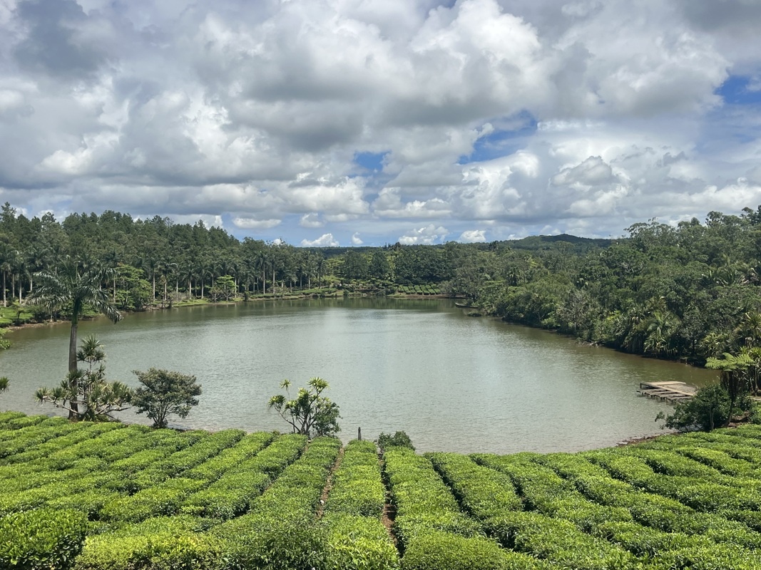 Entre visites et dégustations autour de Chamarel 