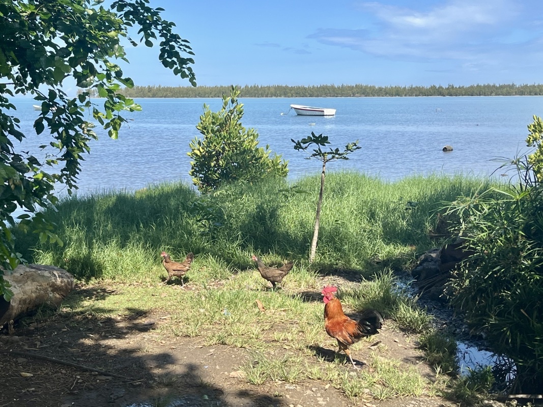 Notre embarcadère! Chez Mickael sa barque au fond!