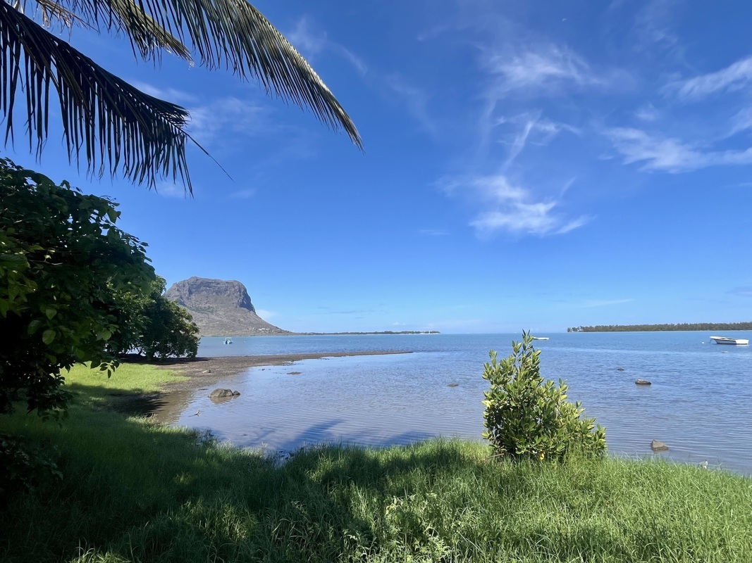 Le terrain de jeu à venir 