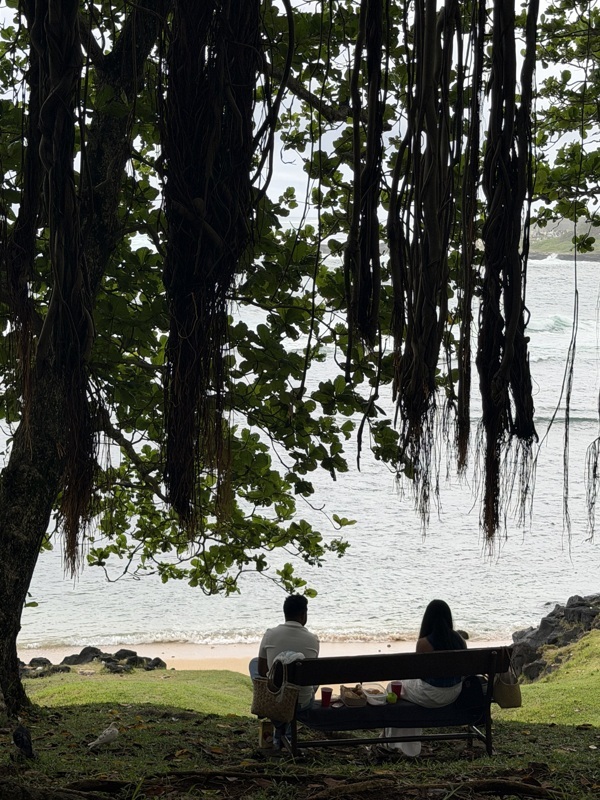 des amoureux sur les bancs publiques...