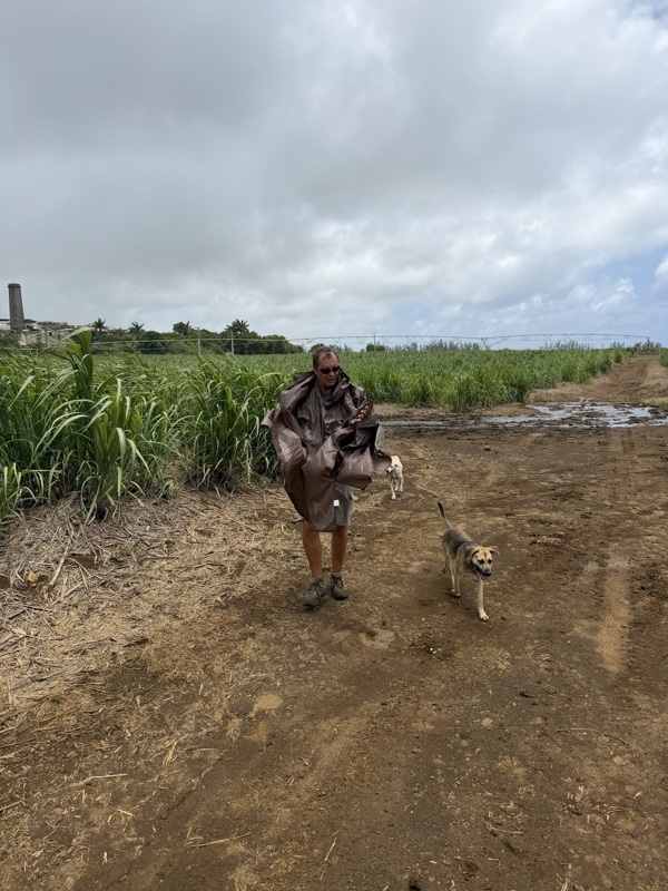 la pluie ça mouille