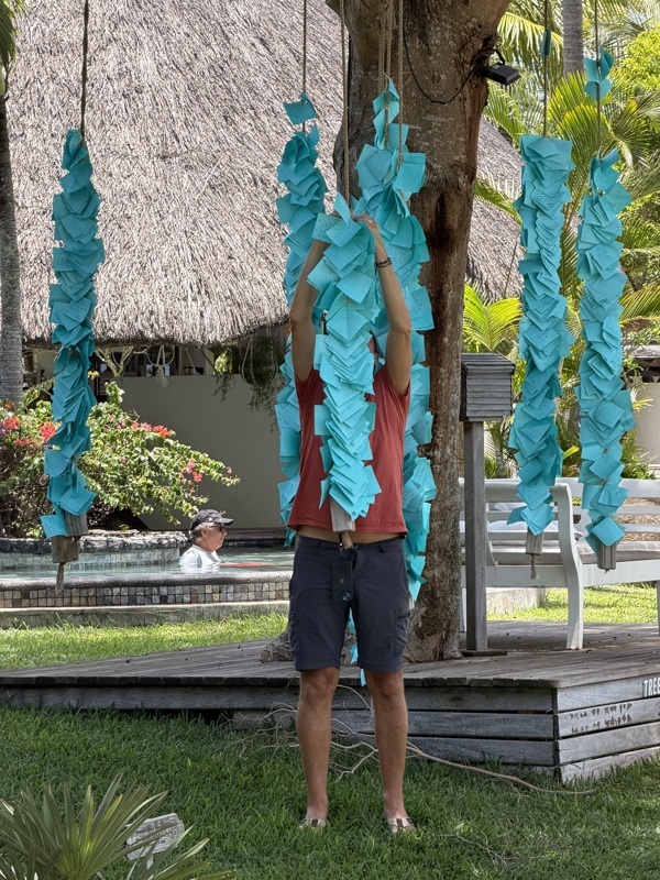 Arbre à vœux, c’est fait