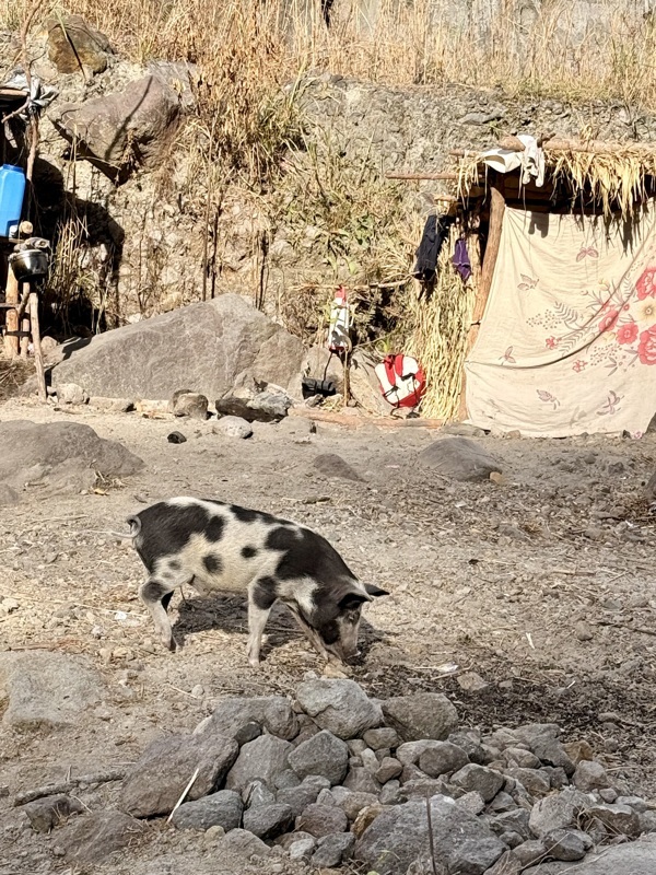 il a bronzé à travers uen passoire celui là!