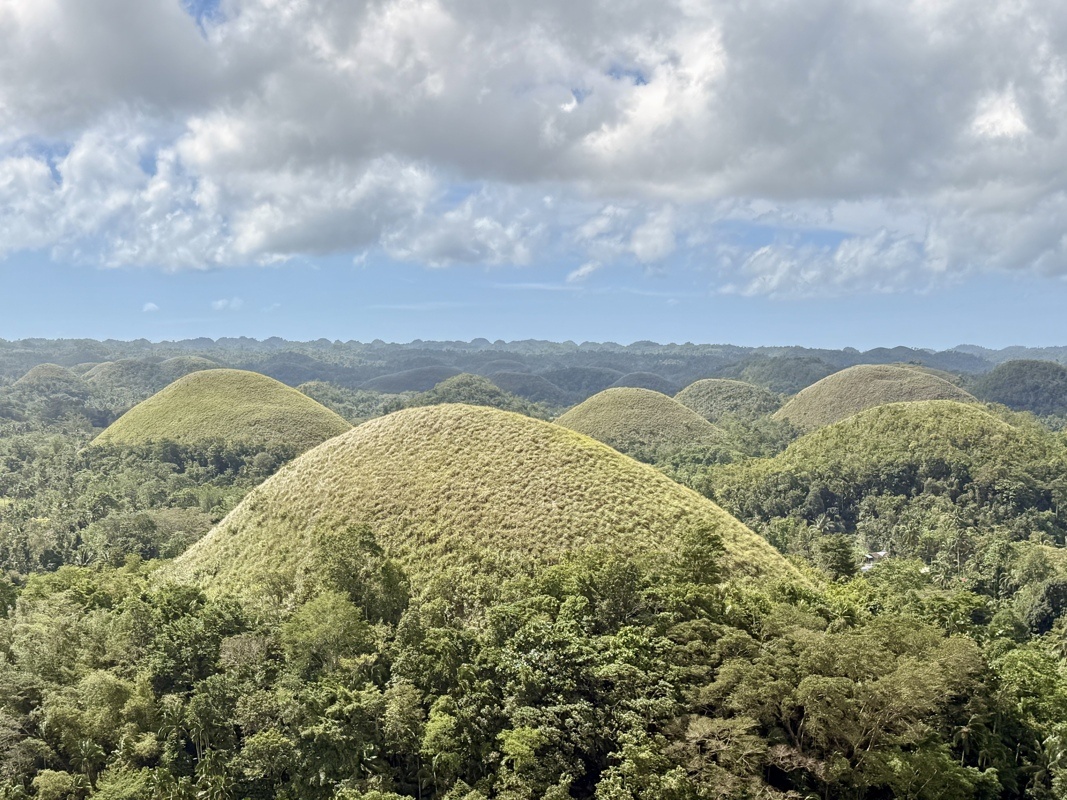 Chocolat Hills et rizières de Cadapdacan