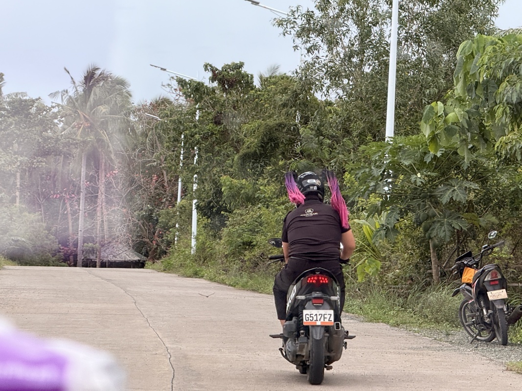 Sur son scooteur avec ses couettes colorées accrochées au casque!